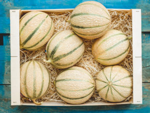 Melon Lansac (Pièce)