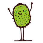 kiwi de taga fruit