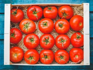 Tomate Ronde (kg)