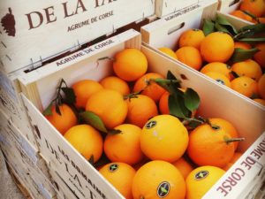 Orange de Corse (Kg)