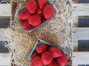 Fraise Clery  (Barquette – 500g)