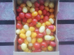 Tomate Cerise Multicolore (500g)