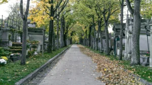 Dijon : balades et ateliers pour porter un nouveau regard sur nos cimetières