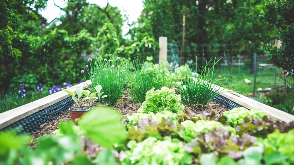 Un bac de jardinage luxuriant rempli de diverses plantes et salades, illustrant la biodiversité