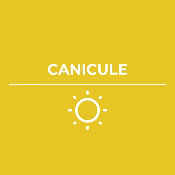 À Nanterre, chaleur et ozone appellent à la vigilance
