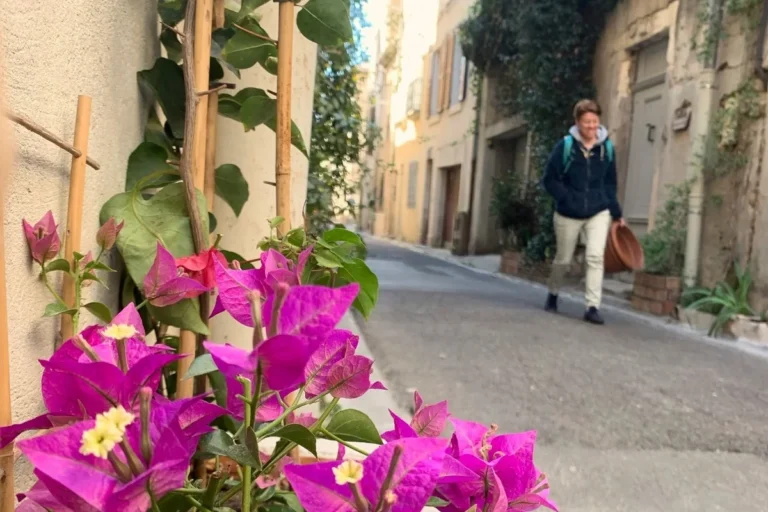 À Nîmes, des habitants veulent remettre du vert dans la ville