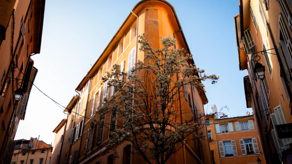 Immeuble d'angle aux façades ocre typiques d'Aix-en-Provence avec un arbre en fleurs sous un ciel bleu.