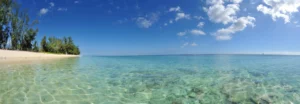 Vue panoramique d'une plage tropicale aux eaux cristallines bordée d'arbres sous un ciel bleu clair.