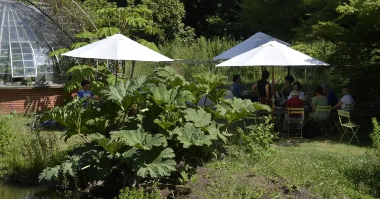 Canicule à Nantes : les réflexes et dates à suivre