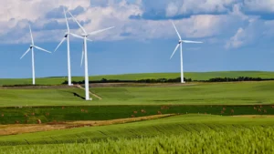 Plusieurs éoliennes blanches s'élevant au-dessus de vastes champs verts vallonnés sous un ciel nuageux.