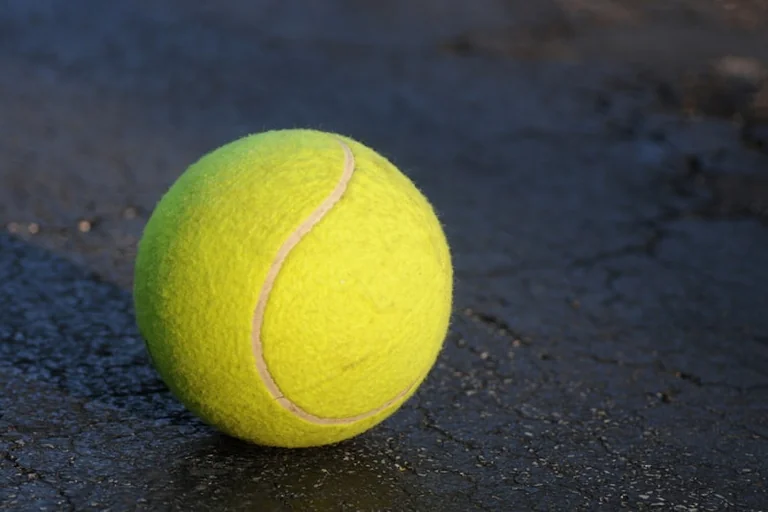 Halys-Zverev à Roland-Garros : verdict attendu ce soir