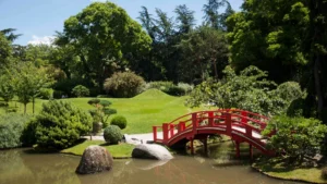 Un pont rouge traditionnel en bois surplombant un étang calme au jardin japonais de Toulouse.