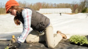 Lucie de Framond plantant des jeunes pousses dans son exploitation maraîchère à Vitry-sur-Seine