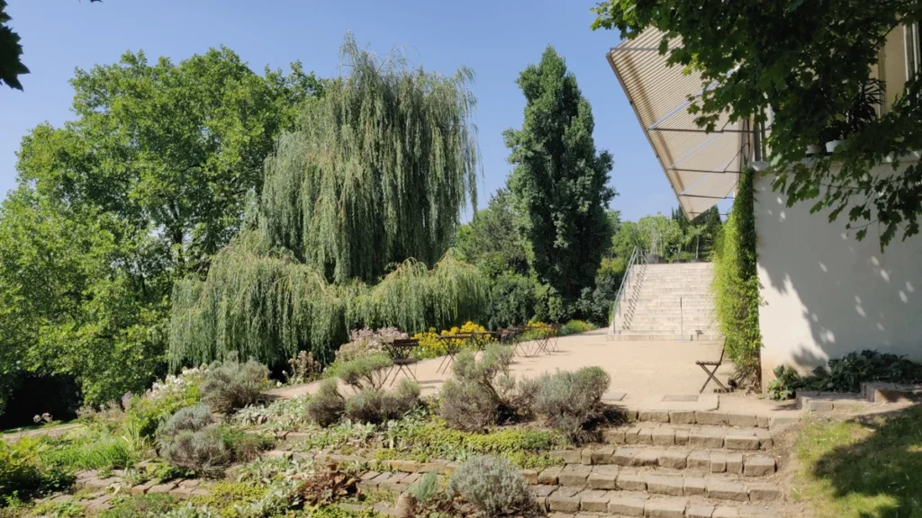 Un aménagement paysager verdoyant avec un saule pleureur et des escaliers en pierre, illustrant le renouveau végétal du quartier de Borny à Metz.