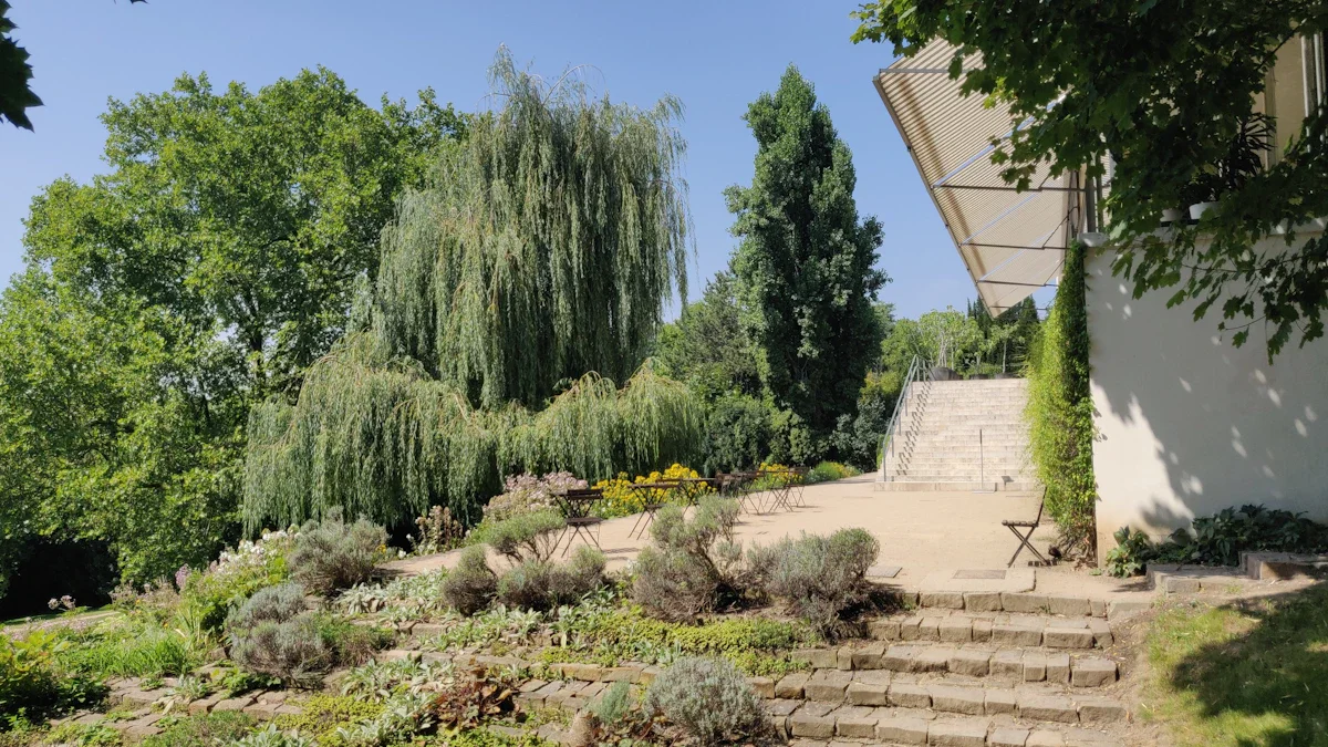 Un aménagement paysager verdoyant avec un saule pleureur et des escaliers en pierre, illustrant le renouveau végétal du quartier de Borny à Metz.