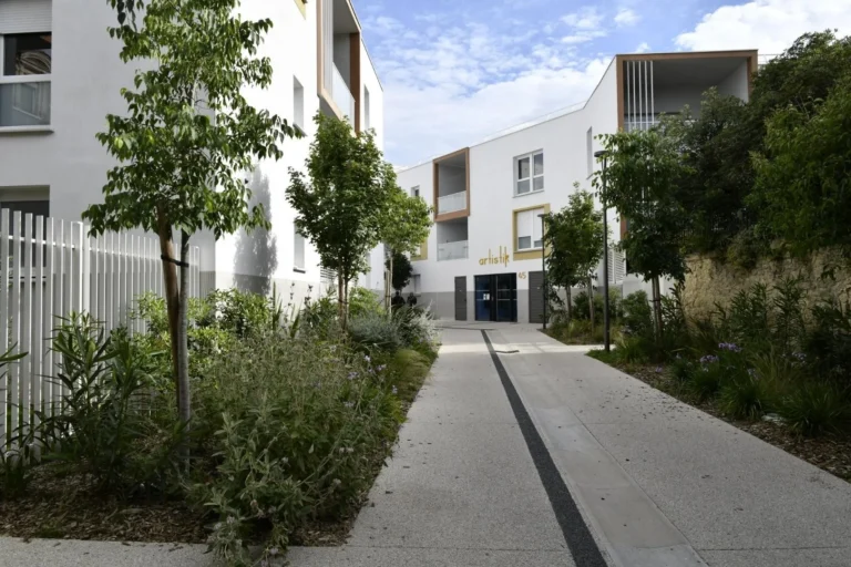 Montpellier : la nouvelle rue Michel Passet réveille l'âme de Figuerolles