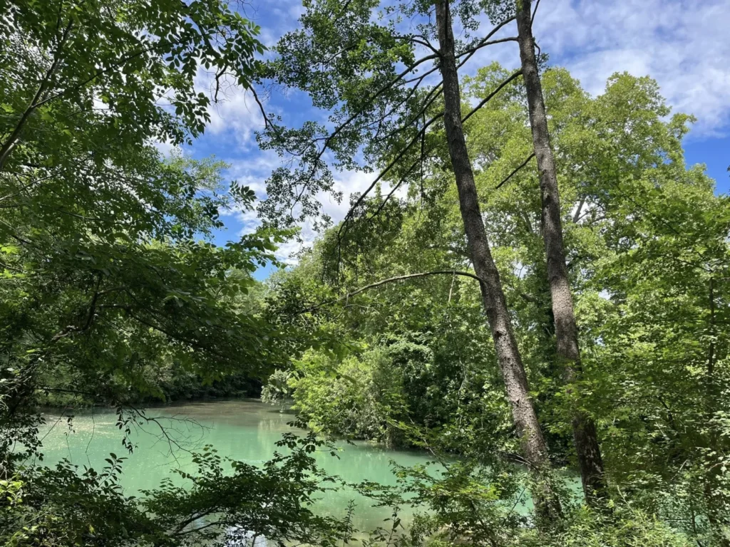 Une rivière turquoise entourée d'arbres verdoyants sous un ciel bleu clair avec quelques nuages.