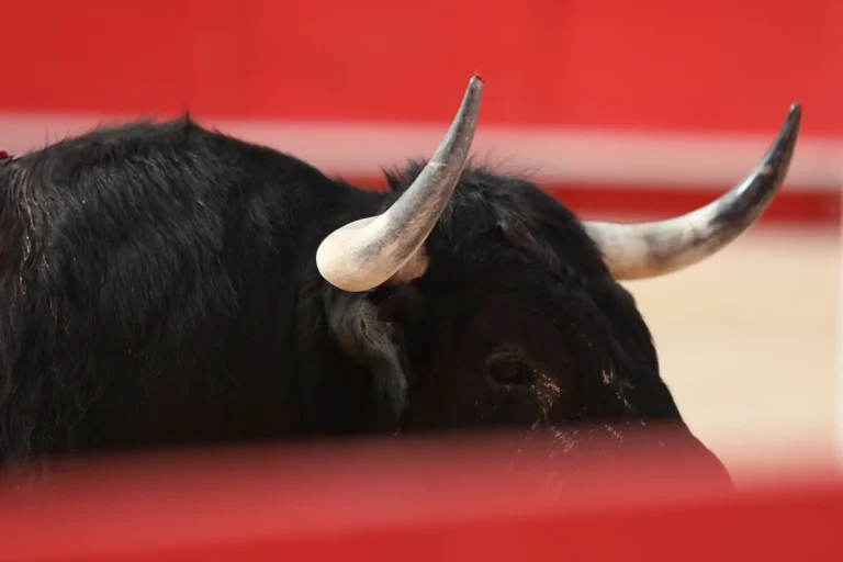 Nîmes : le guide pratique pour profiter du vendredi de Feria