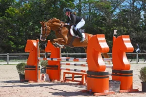 Cavalière sautant un obstacle orange avec son cheval alezan lors d'un concours hippique en extérieur.