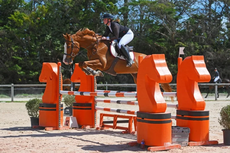 Cavalière sautant un obstacle orange avec son cheval alezan lors d'un concours hippique en extérieur.