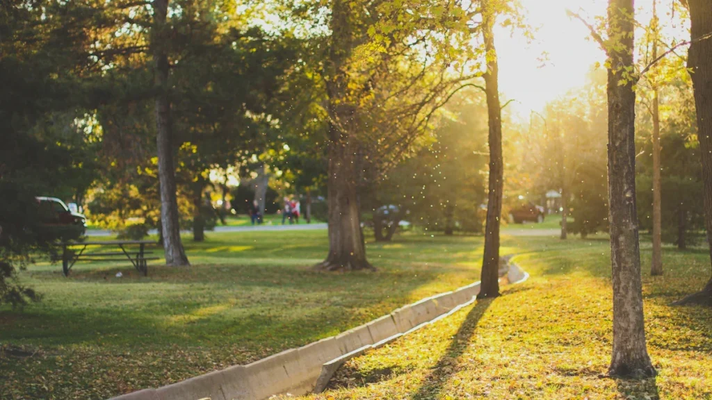Un parc verdoyant et ensoleillé offrant une ombre naturelle apaisante pour les citoyens.