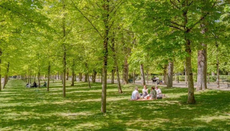 Poitiers ouvre ses îlots de fraîcheur face à la chaleur