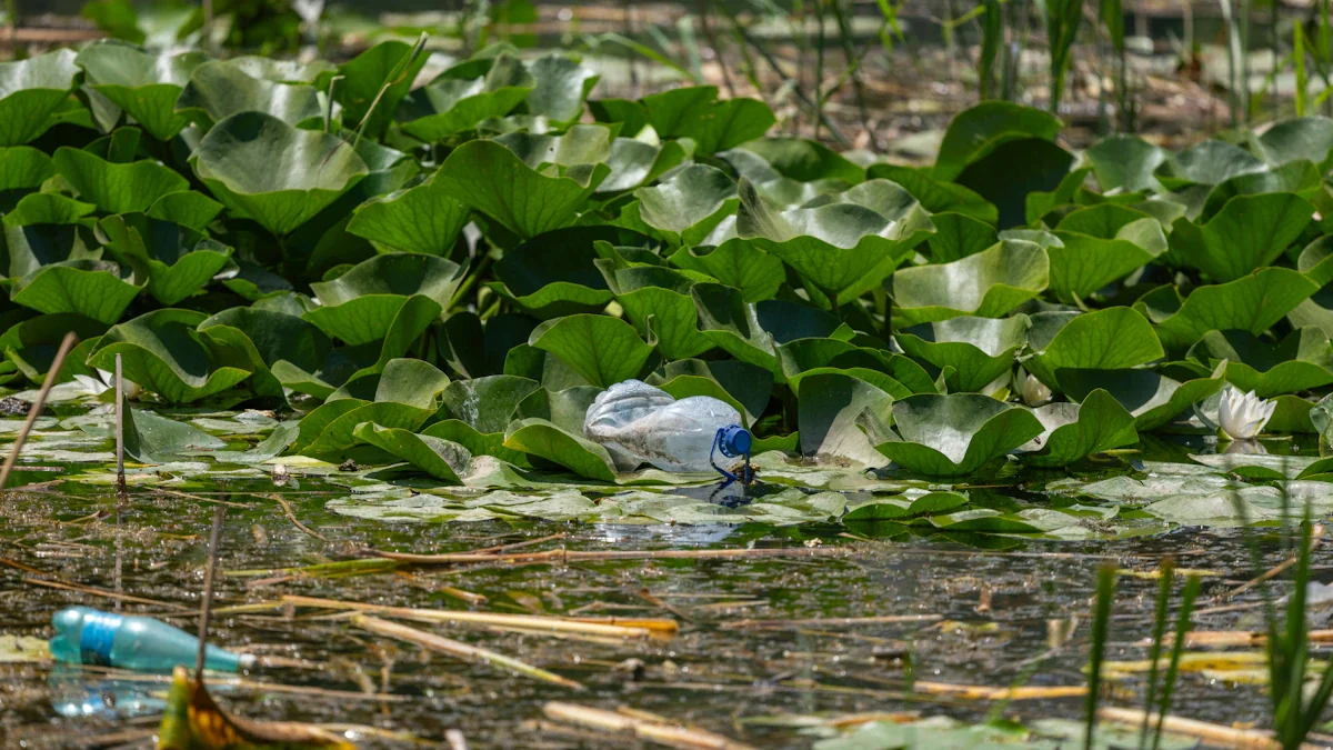 Bouteille en plastique flottant parmi les nénuphars sur une rivière polluée.