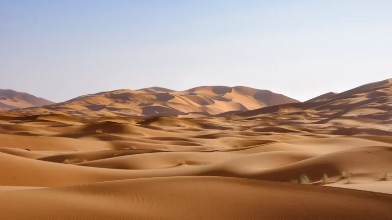 Dunes de sable doré s'étendant à l'infini sous un ciel bleu clair et ensoleillé.