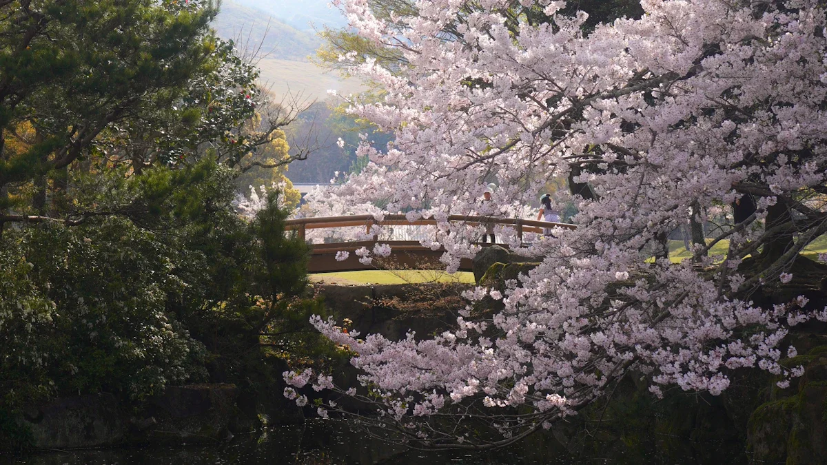 Un pont en bois traditionnel entouré de cerisiers en fleurs dans un jardin public paisible.
