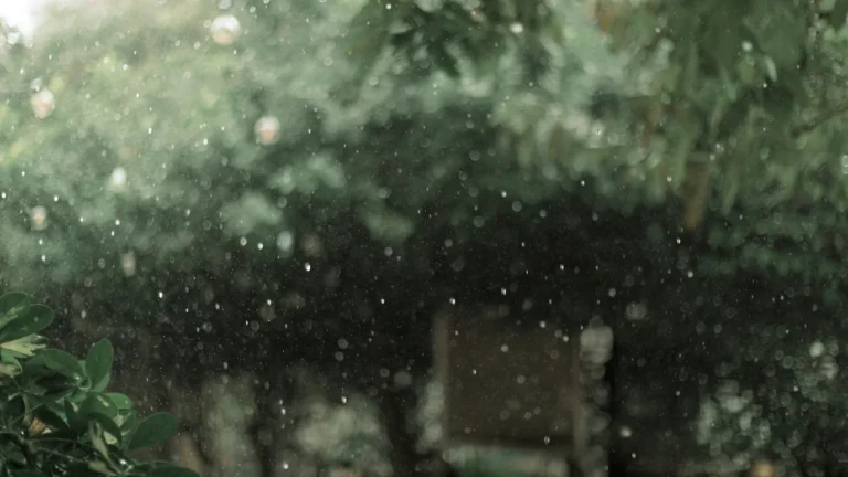 À Courbevoie, chaleur et orages changent les sorties