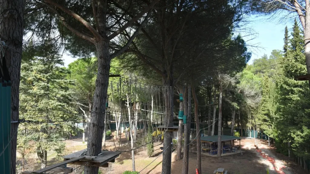 Parcours d'accrobranche avec des plateformes en bois et des cordes suspendues entre les pins.