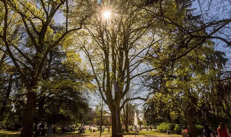 À Toulouse, les sorties au parc rattrapées par l’alerte météo: ce qu'il faut retenir