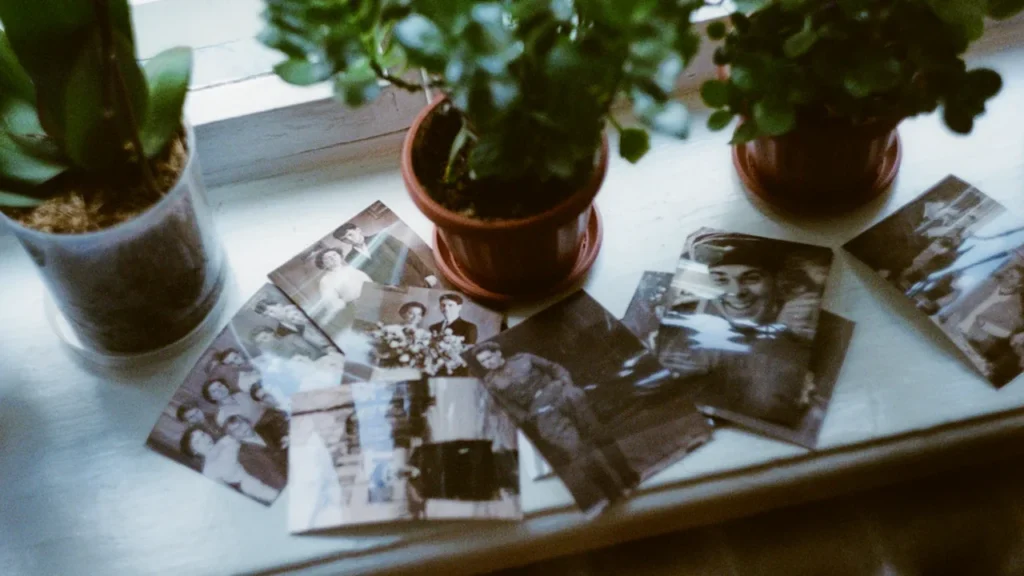Photographies anciennes sur un rebord de fenêtre à côté de plantes vertes.