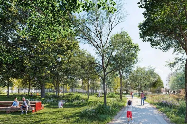 Lille : la rue Gandhi se transforme en un vaste jardin urbain