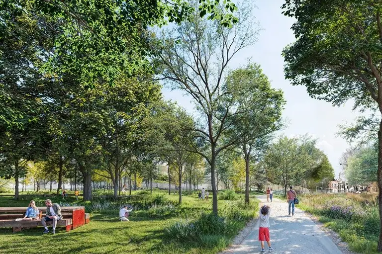 Lille : la rue Gandhi se transforme en un vaste jardin urbain