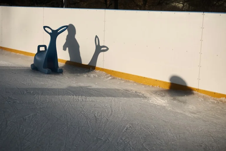 Lyon va vivre les sports de glace en plein cœur de ville