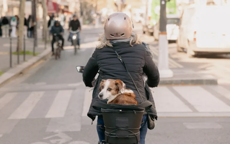 Paris à vélo : les chiffres qui changent les trajets