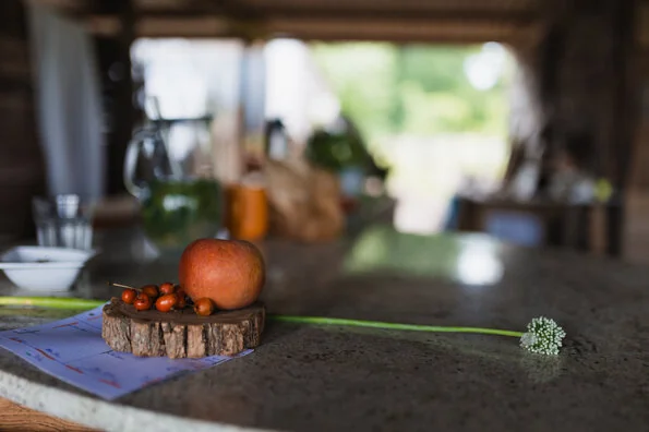Près d’Orléans, un potager devient lieu de rencontre
