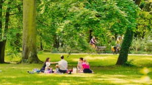 Famille pique-niquant dans un parc verdoyant et ensoleillé avec des cyclistes en arrière-plan.