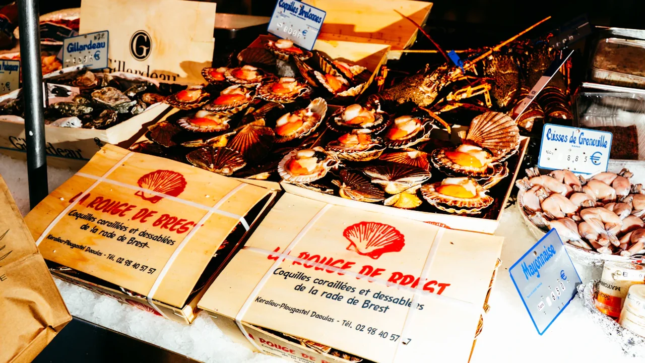 Plateaux de coquilles Saint-Jacques fraîches sur l'étal d'un marché brestois.