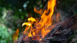 Des flammes vives et orange dansent sur des bûches de bois brûlant en extérieur.