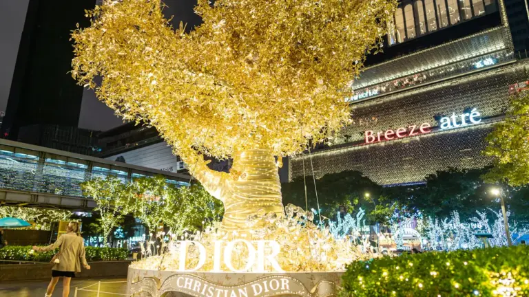 « Auprès de mon arbre » gratuit à Fontenay-aux-Roses: ce qu’il faut retenir