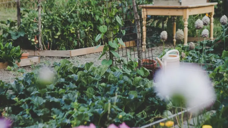 Ex(s)istere à Saint-Étienne : 14 plantes en accès libre: tagafruit.fr