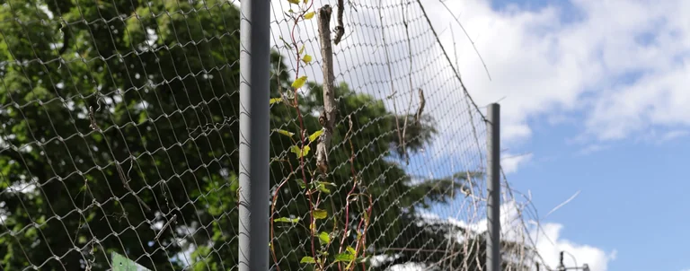 Ex(s)istere à Saint-Étienne : 14 plantes en accès libre: tagafruit.fr