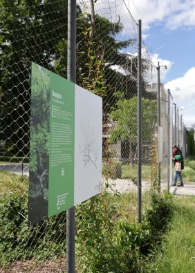 Ex(s)istere à Saint-Étienne : 14 plantes en accès libre: tagafruit.fr