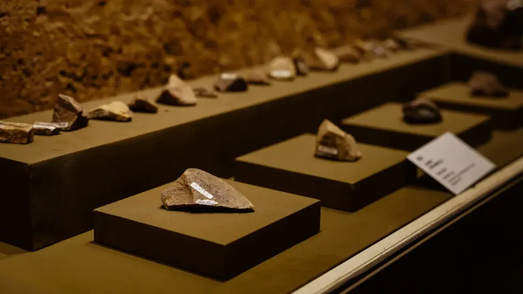 Présentation pédagogique de spécimens géologiques sous vitrine lors d'une exposition culturelle.