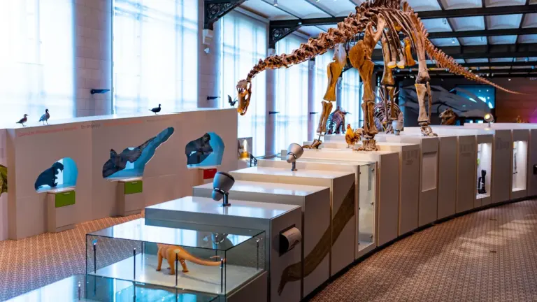 Une exposition gratuite sur les dinosaures arrive à Elbeuf
