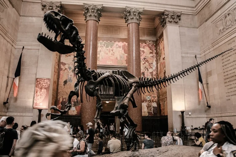 Une exposition gratuite sur les dinosaures arrive à Elbeuf
