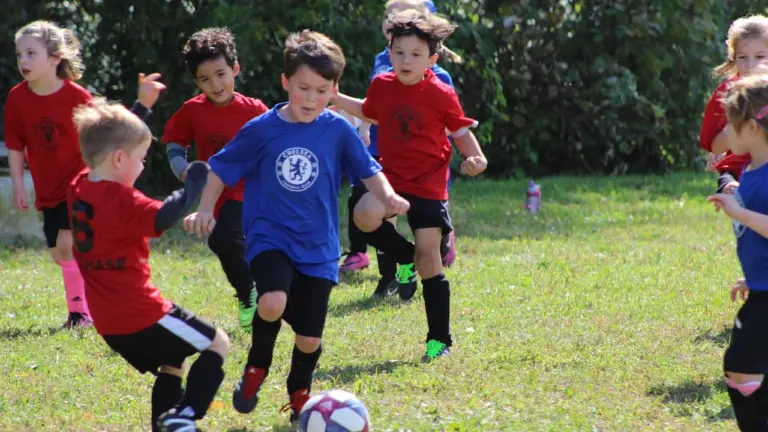 À Alençon, près de 30 sports à découvrir dès la rentrée