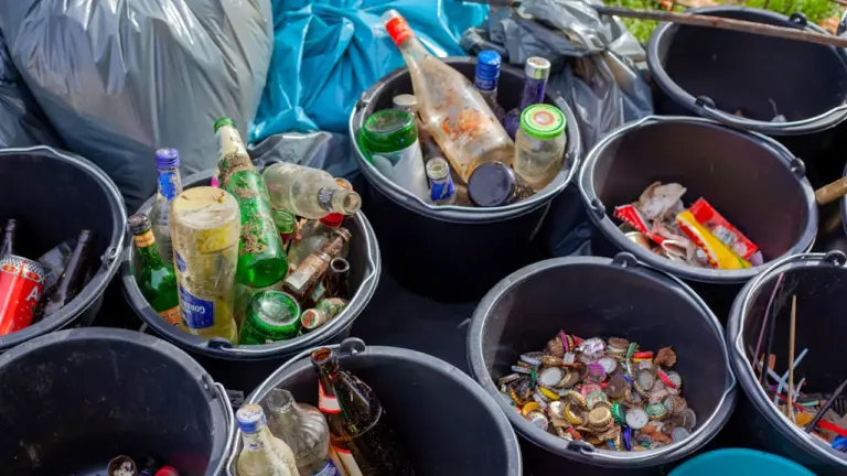 À Carquefou, une matinée pour nettoyer la ville le 20 août
